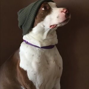 Meet your Posher, Mariah